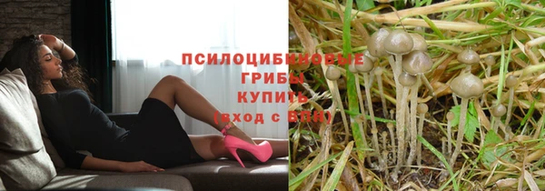 твердый Армянск