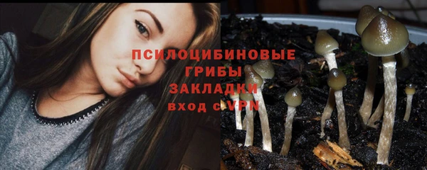 твердый Армянск