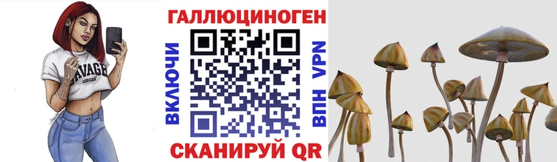 ссылка на мегу ссылка  Починок  Псилоцибиновые грибы Psilocybe 